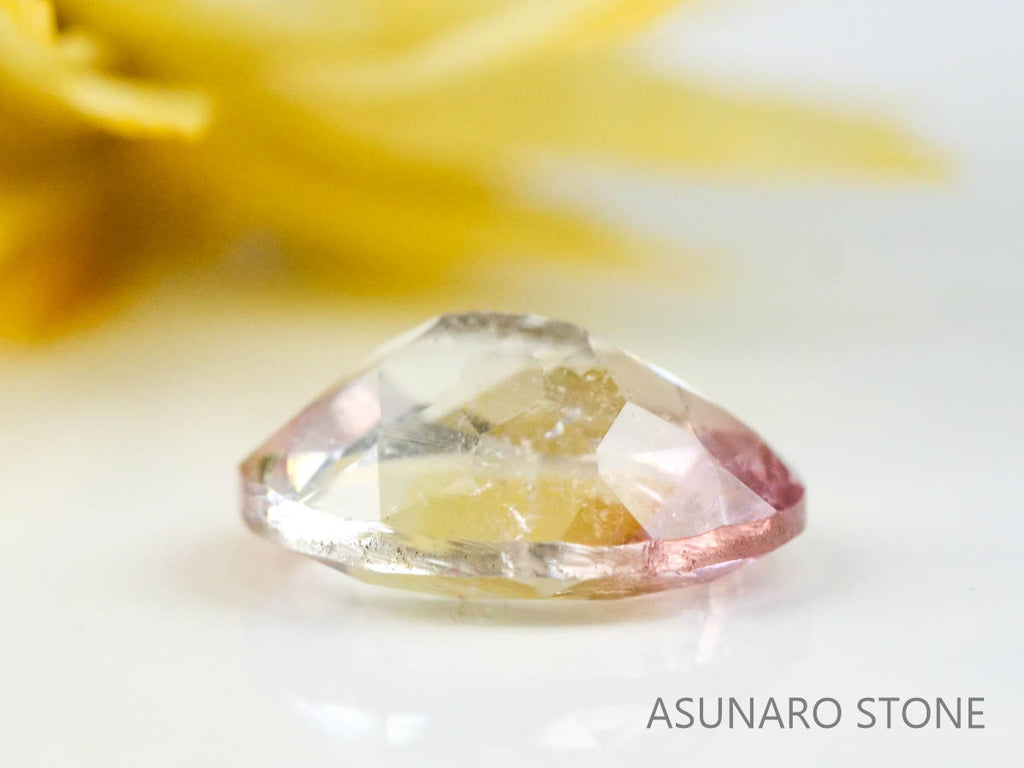 バイカラートルマリン　オーバルカット　ブラジル産　　1.39ct【221214-1243】