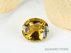 シャンパンカラートルマリン　オーバルカット　ブラジル産　　0.65ct【221214-1250】