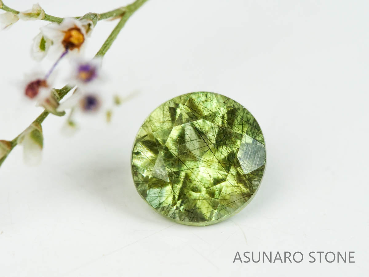 ルドウィジャイトインペリドット（ルチルペリドット）　ラウンドカット　パキスタン産   0.73ct【221226-1337】