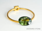 ルドウィジャイトインペリドット（ルチルペリドット）オーバルカット　パキスタン産   1.41ct【221226-1347】