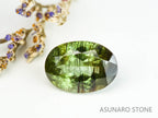 ルドウィジャイトインペリドット（ルチルペリドット）オーバルカット　パキスタン産   2.77ct【221226-1348】