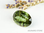 ルドウィジャイトインペリドット（ルチルペリドット）オーバルカット　パキスタン産   2.77ct【221226-1348】