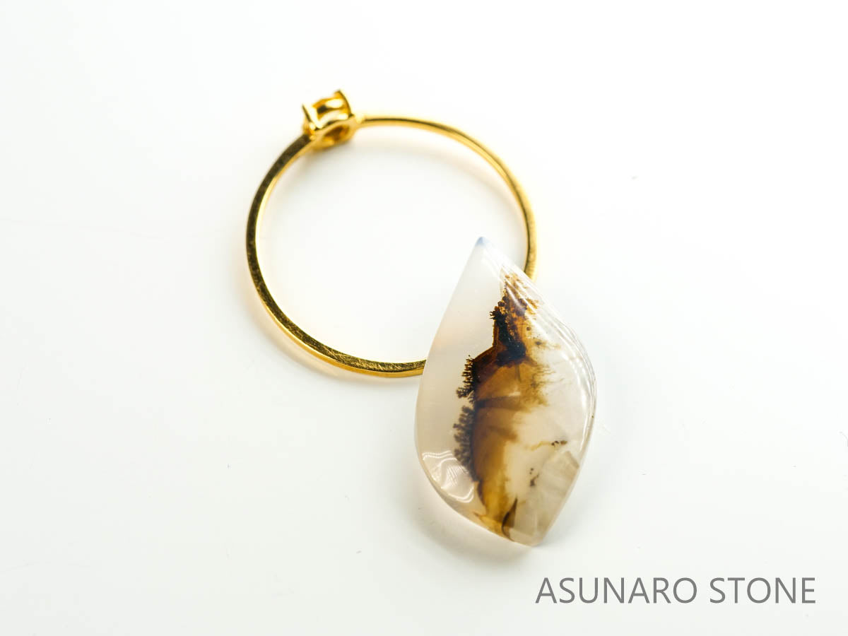 デンドリチックアゲート　ブラジル産 　5.48ct　【230215-1479】