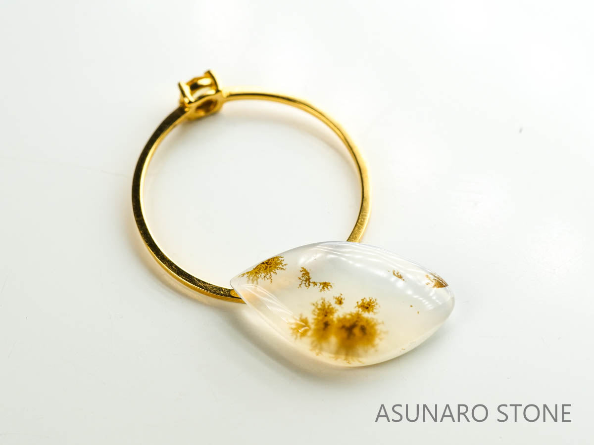 デンドリチックアゲート ブラジル産 3.40ct 【230215-1483】 – ASUNARO STONE