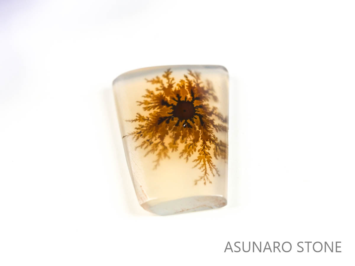 デンドリチックアゲート　ブラジル産 　1.78ct　【230215-1486】